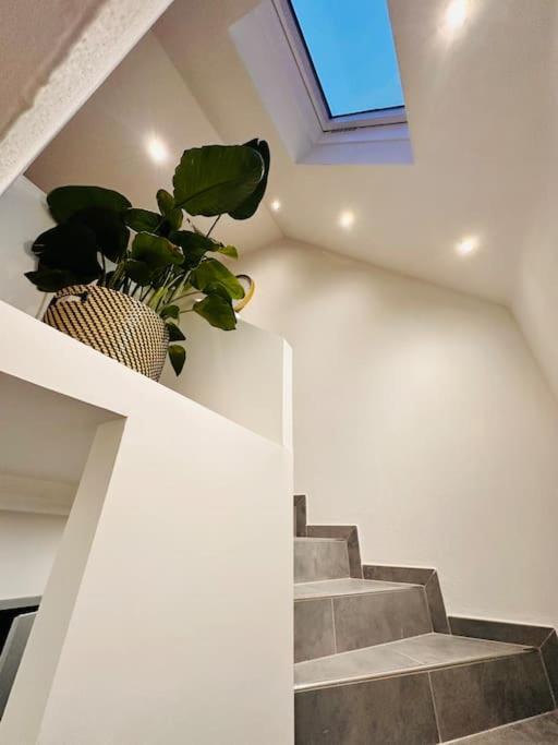 Superbe Maison A Proximite Du Centre De Strasbourg Bischheim Exterior photo